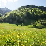 Holiday home Alps Hoamat *