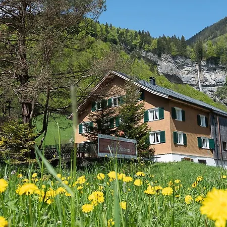 Holiday home Alps Hoamat Mellau