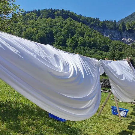 Alps Hoamat Ferienchalet 別荘