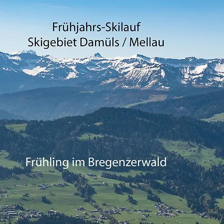 Alps Hoamat Holiday home Mellau