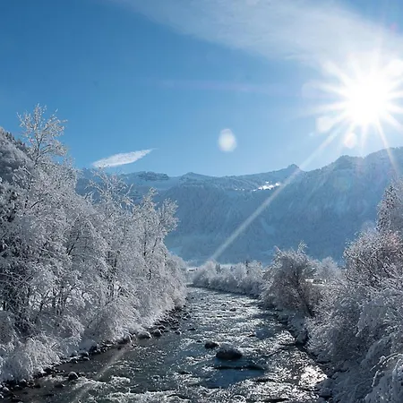 Alps Hoamat Ferienchalet 別荘
