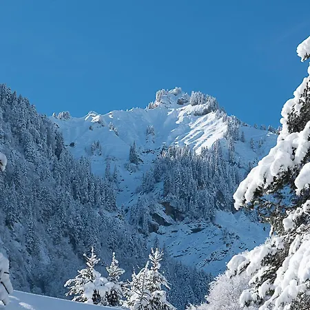 Alps Hoamat Ferienchalet 別荘 メラウ