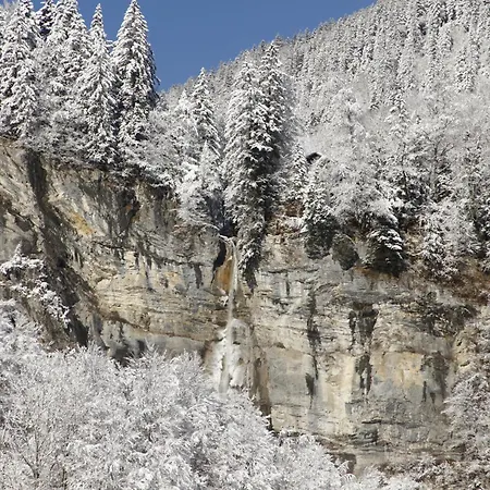 Ferienhaus Alps Hoamat