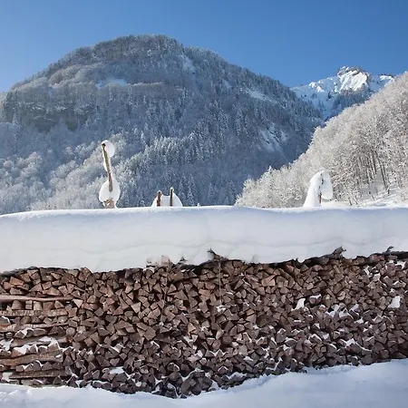 Alps Hoamat Holiday home