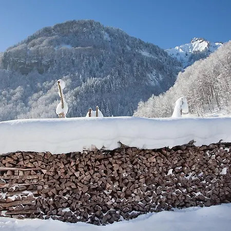 Alps Hoamat Ferienchalet Casa de Férias