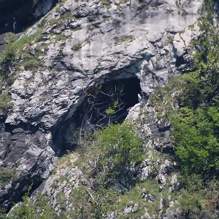 Casa de Férias Alps Hoamat Ferienchalet Mellau