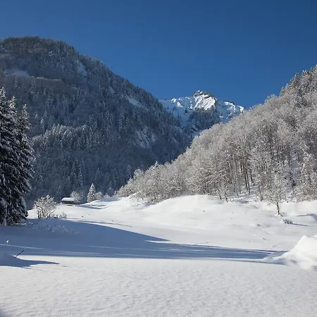 Alps Hoamat Ferienchalet メラウ