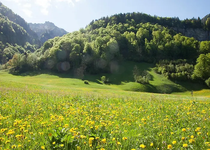 Holiday home Alps Hoamat *