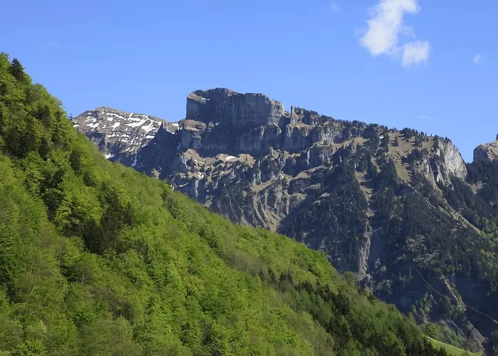 Holiday home Alps Hoamat Mellau